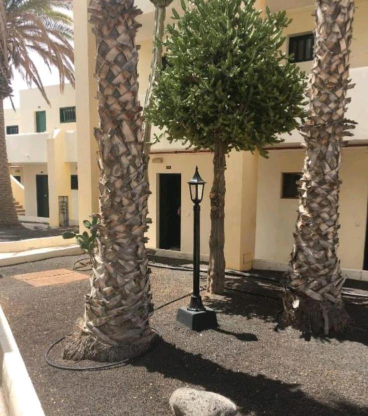 Suri Costa Teguise Apartment Exterior photo