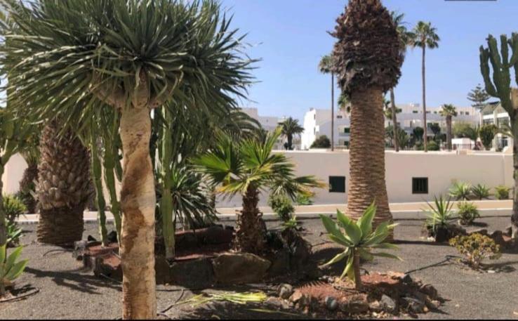Suri Costa Teguise Apartment Exterior photo